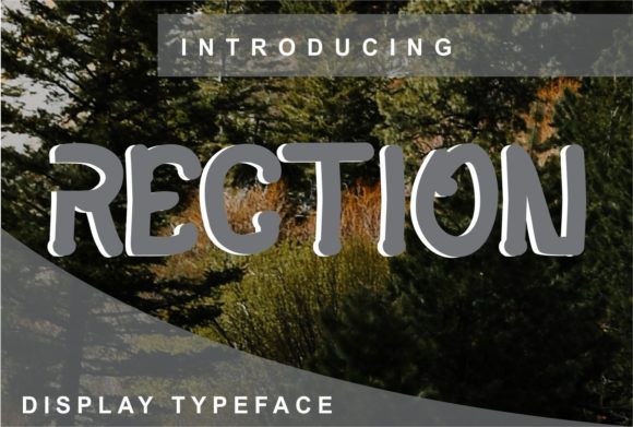Rection: A Display Font That Breathes With Your Content